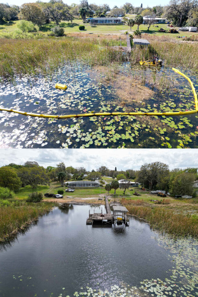 Haines City Before and After Project 7 Lake Clearing Services