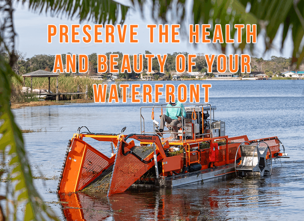 Preserve The Health and Beauty of Your Waterfront