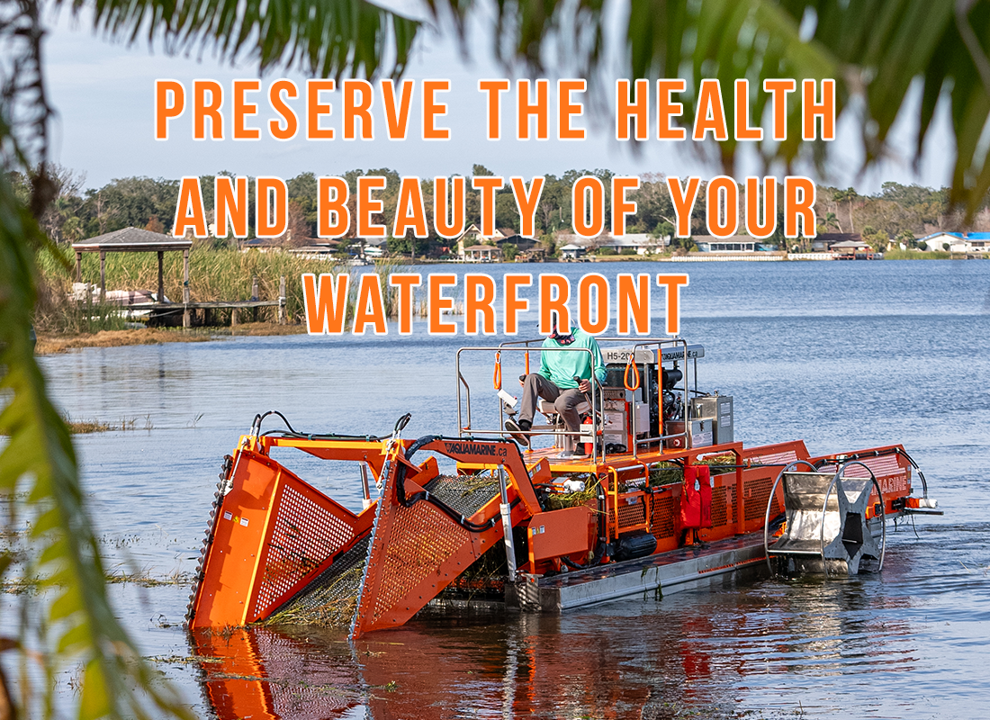 Preserve The Health and Beauty of Your Waterfront