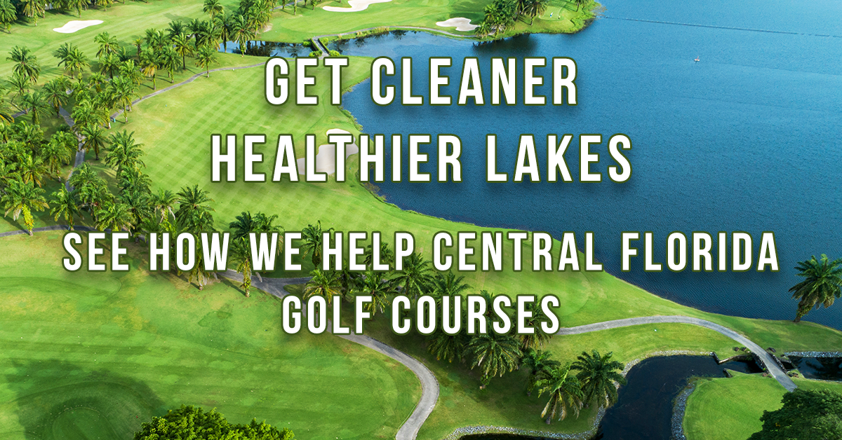Get Cleaner, Healthier Lakes – See How We Help Central Florida Courses