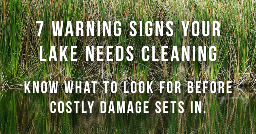 7 Warning Signs That Your Lake Needs Cleaning