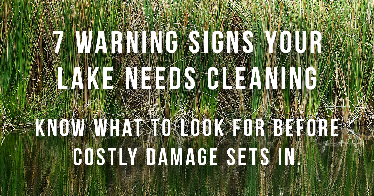 7 Warning Signs That Your Lake Needs Cleaning